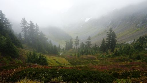 A wide shot of beautiful trees and flowers surrounded by high mountain range covered in fog