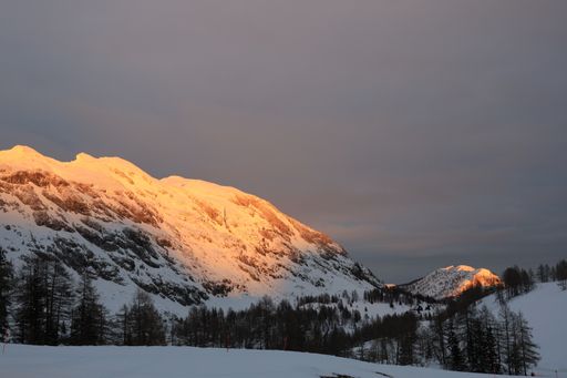 A beautiful shot of snowy mountains covered in trees under the sunlight during the sunset