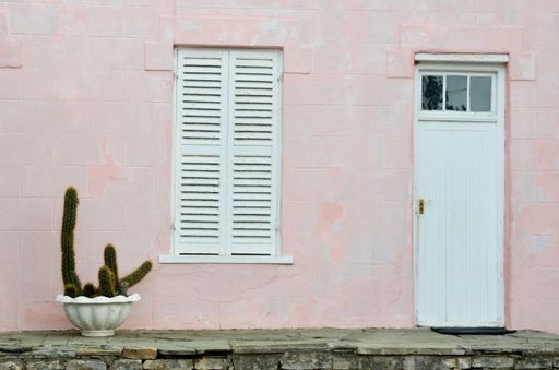 A potted cactus in front of a pink aged house wall with shutters and a white door