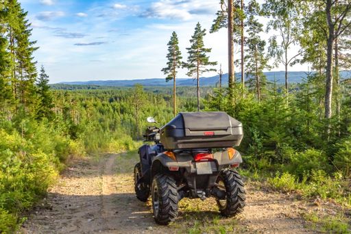 A back shot of a beach buggy standing on soil road in the middle of green trees on a sunny day against the blue cloudy sky