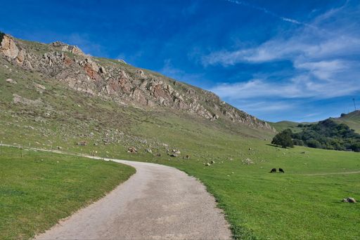 A panoramic shot of a trail on the landscape in Mission Peak Regional Preserve, located in Fremont, USA