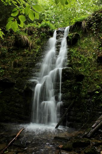 A vertical shot of a waterfall flowing down the rocks covered with green moss and trees