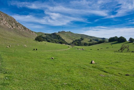A panoramic shot of the beautiful landscape in Mission Peak Regional Preserve, located in Fremont, USA