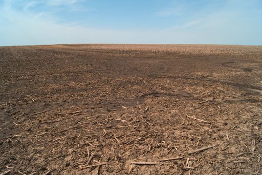 A brown corn and soy field in rural Illinios
