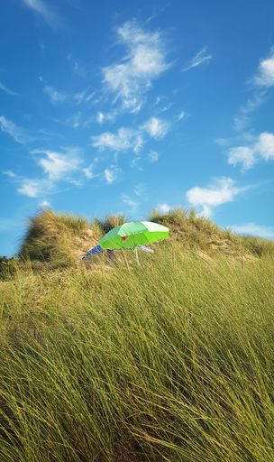 A vertical shot of an umbrella in the tall grass on a blue cloudy sky background