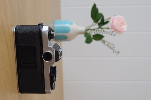 A vertical shot of a vintage camera with an unfocused rose in a vase in the background