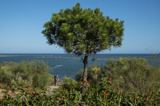 A beautiful landscape with a couple on a viewpoint looking to the sea