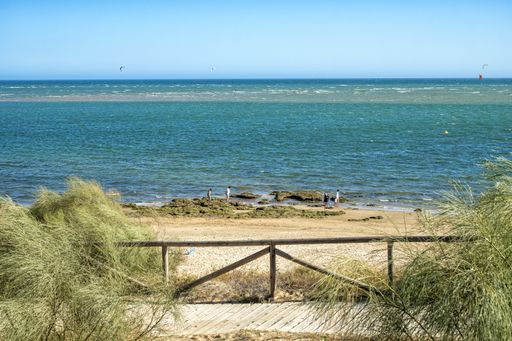 A beautiful view of sandy coast with people and clear skyline