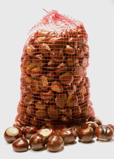 A vertical shot of chestnuts in a red net package isolated on a white background