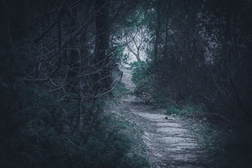 A mesmerizing narrow road through the green trees under a cloudy sky