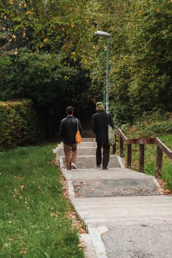A rear view of people walking in the park
