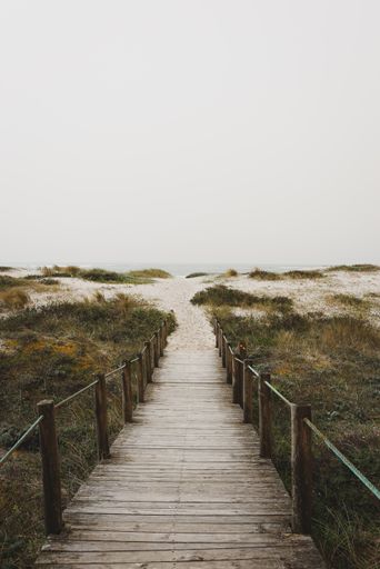 A vertical shot of a wooden dock on a beach, going through a grassy meadow