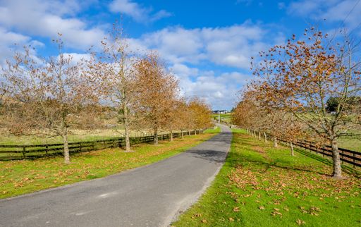 A pathway surrounded by fences and greenery in a park under the sunlight and a blue cloudy sky