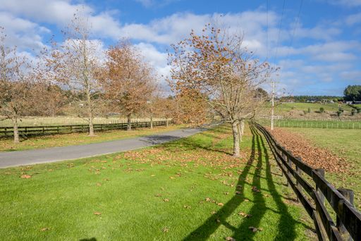 A pathway surrounded by fences and greenery in a park under the sunlight and a blue cloudy sky