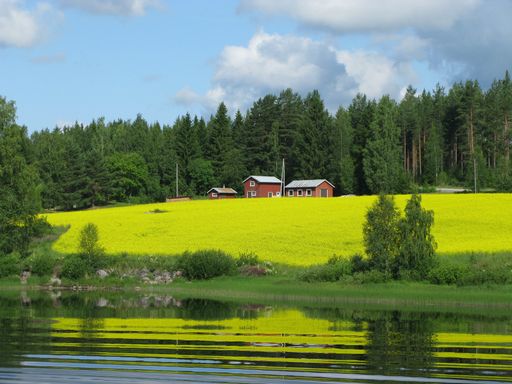 The houses and trees on a beautiful grass-covered hill by a lake captured in Finland