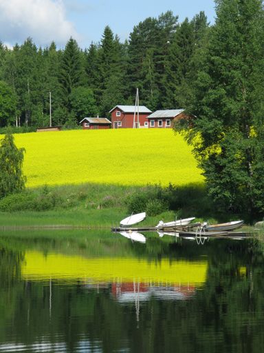 The reflection of the houses and trees on a grass-covered hill on a lake captured in Finland