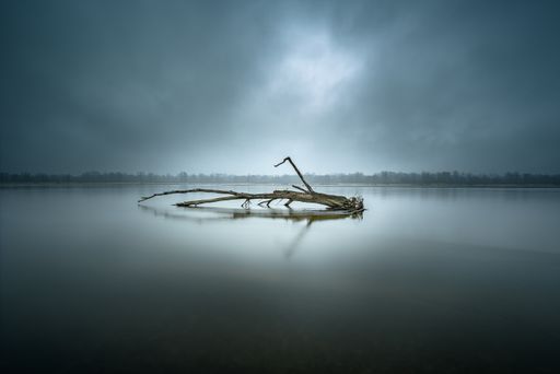 A gloomy Long exposure photo of tree limb in river Wisla in Poland