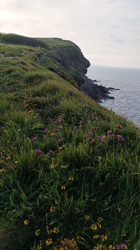 A vertical shot of a green cliff by the sea