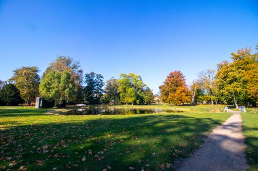 A small pond surrounded by greenery in a park under the sunlight and a blue sky
