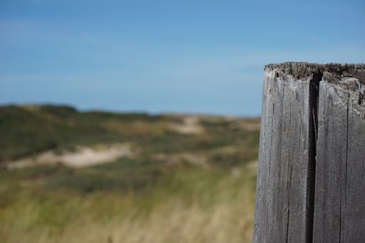 A selective focus shot of an old wooden poll in a field with fresh and dried grass and a clear sky