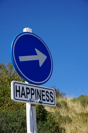 A vertical shot of happiness sign with right arrow in the nature
