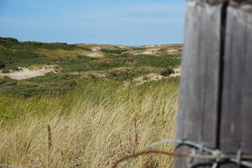 A close up shot of an old wooden poll in a field with fresh and dried grass and clear sky