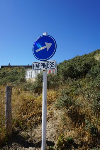 A vertical shot of happiness sign with right arrow in the field