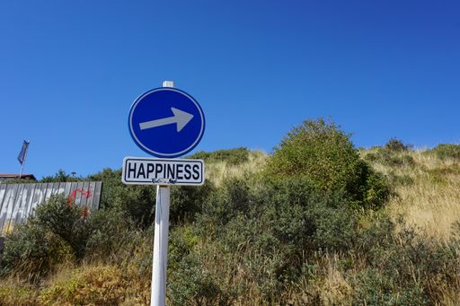 A closeup shot of a street sign to right with note Happiness for location
