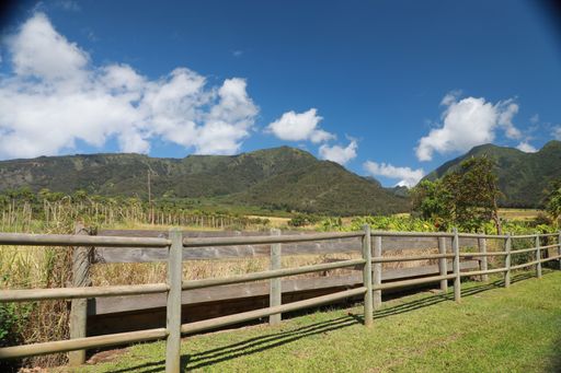 A wide shot of a wooden fenced grass field surrounded by mountains under a blue sky