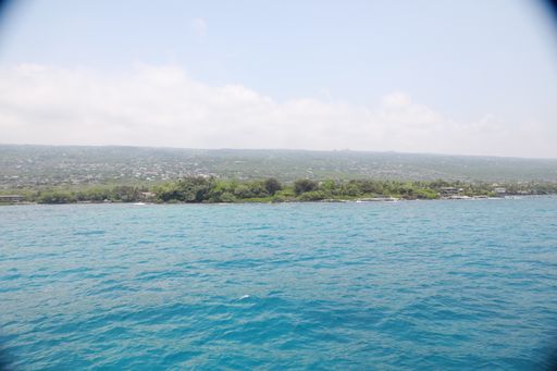 A wide shot of the sea surrounded by green trees and plants under a blue sky