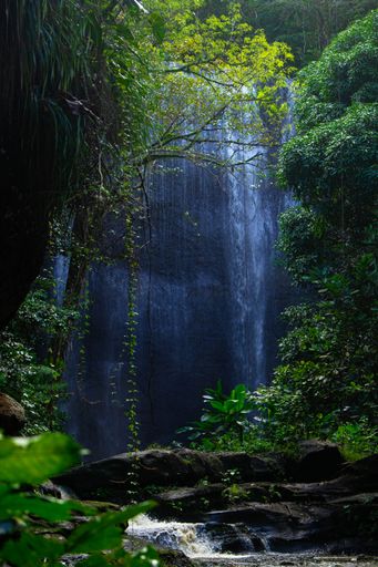 A vertical shot of a waterfall in a forest during the day