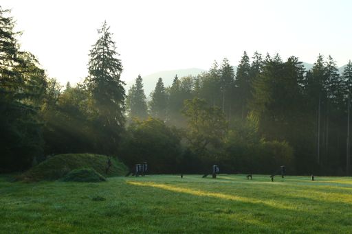 early morning at a shooting-range with shooting targets for archery with meadow and forest