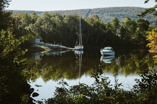 A beautiful view of boats in a green lake surrounded by trees on a sunny day