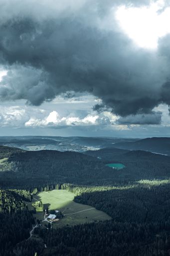 A breathtaking view of a black forest under a cloudy sky in daytime