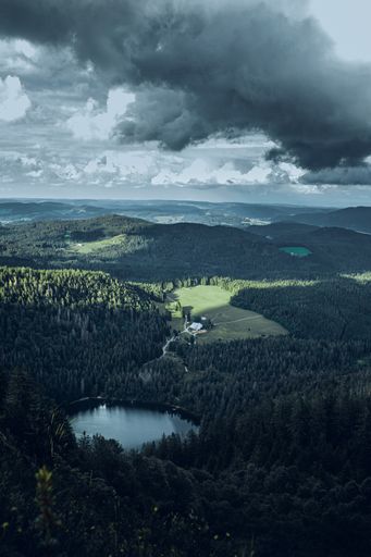 A beautiful high angle view of a black forest on hills under a cloudy sky