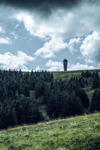 A beautiful view of a dark forest near green fields under a cloudy sky