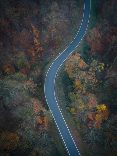 An aerial top view of a long wavy road in the middle of a dark colorful forest