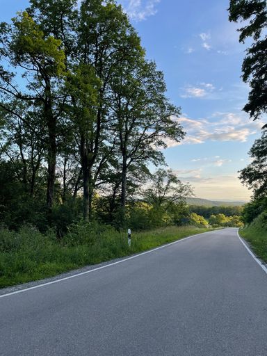 A beautiful view of an asphalt road in the middle of the forest on a sunny day