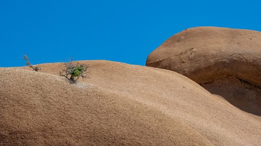 Namibia, landscape in Damaraland, with trees growing on big rocks