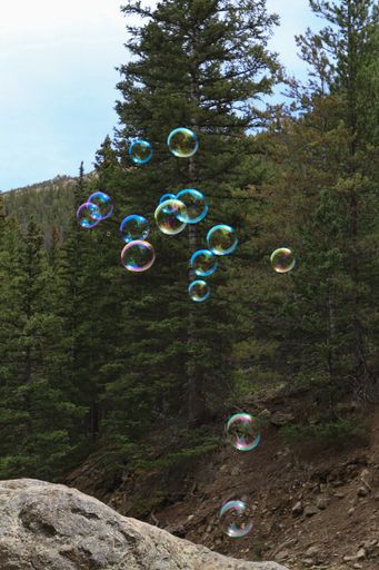 A vertical shot of bubbles in nature with spruce trees on the background