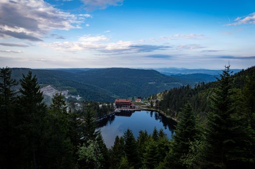 An aerial view of lake with house surrounded by dense trees under blue bright sky