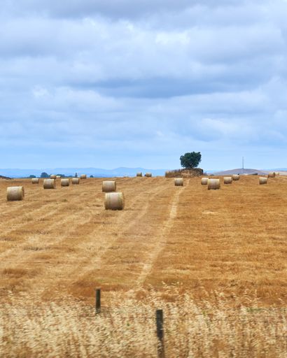 A beautiful shot of Straw rolls in the field during the agricultural harvest of wheat on a sunny day under a cloudy blue sky