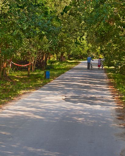 A vertical shot of an old couple walking in a park