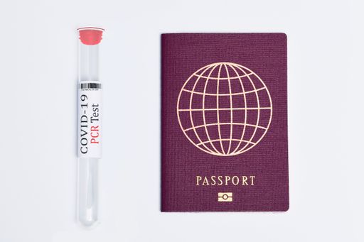 A closeup of a nasal swab and a travel passport isolated on a white background