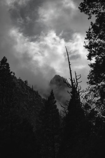 The clouds hiding the mountains in Yosemite, California