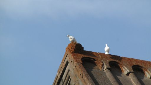 A low-angle shot of doves on the top of the church