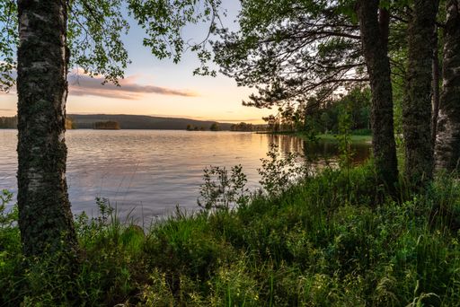 A beautiful shot of a lake with surrounded by trees at sunset