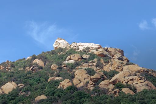 The blue sky over the rock with green trees on a sunny day summer