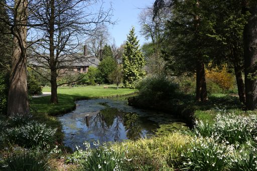 A horizontal shot of beautiful green trees near the water with moss and a house under the blue sky