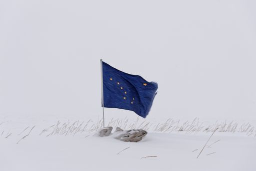 Alaska State flag blowing in desolate winter landscape